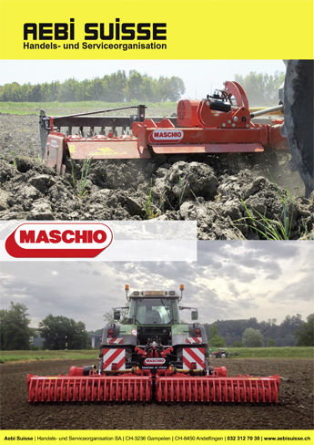 Kreiseleggen Maschio