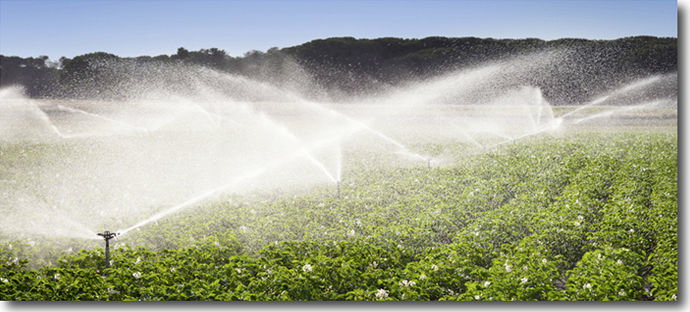 Rund ums Wasser. Einzelteile, Systeme oder ganze Beregnungsanlagen - Beratung, Planung und Umsetzung. 